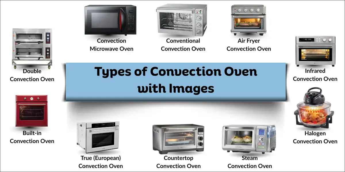 A labeled collage displaying different types of convection ovens with images of each oven type.