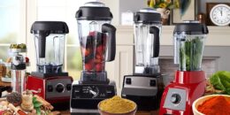 Best Blenders For Grinding Spices