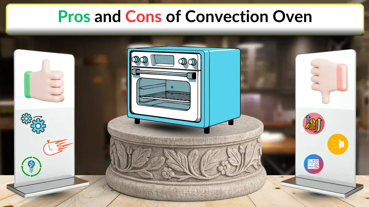 Pros and cons of convection oven explained with simple comparison