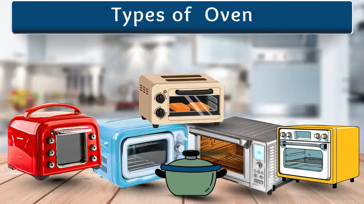 Types of oven for kitchen use, including toaster, microwave, and convection models.